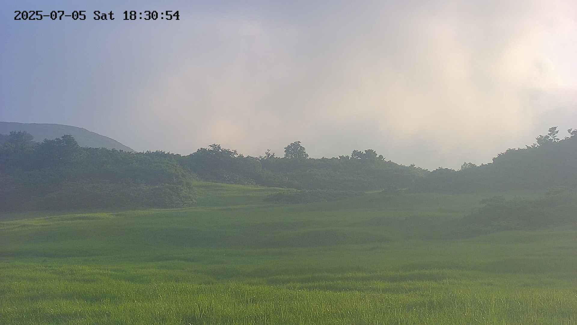 area3-20250705183055.jpg
