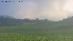 area3-20250705183055.jpg