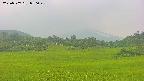 area3-20250707050049.jpg