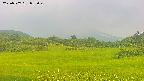area3-20250707052051.jpg