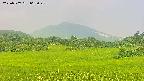 area3-20250707063050.jpg