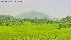 area3-20250707071048.jpg