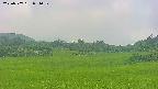 area3-20250707091052.jpg