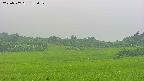 area3-20250707153053.jpg