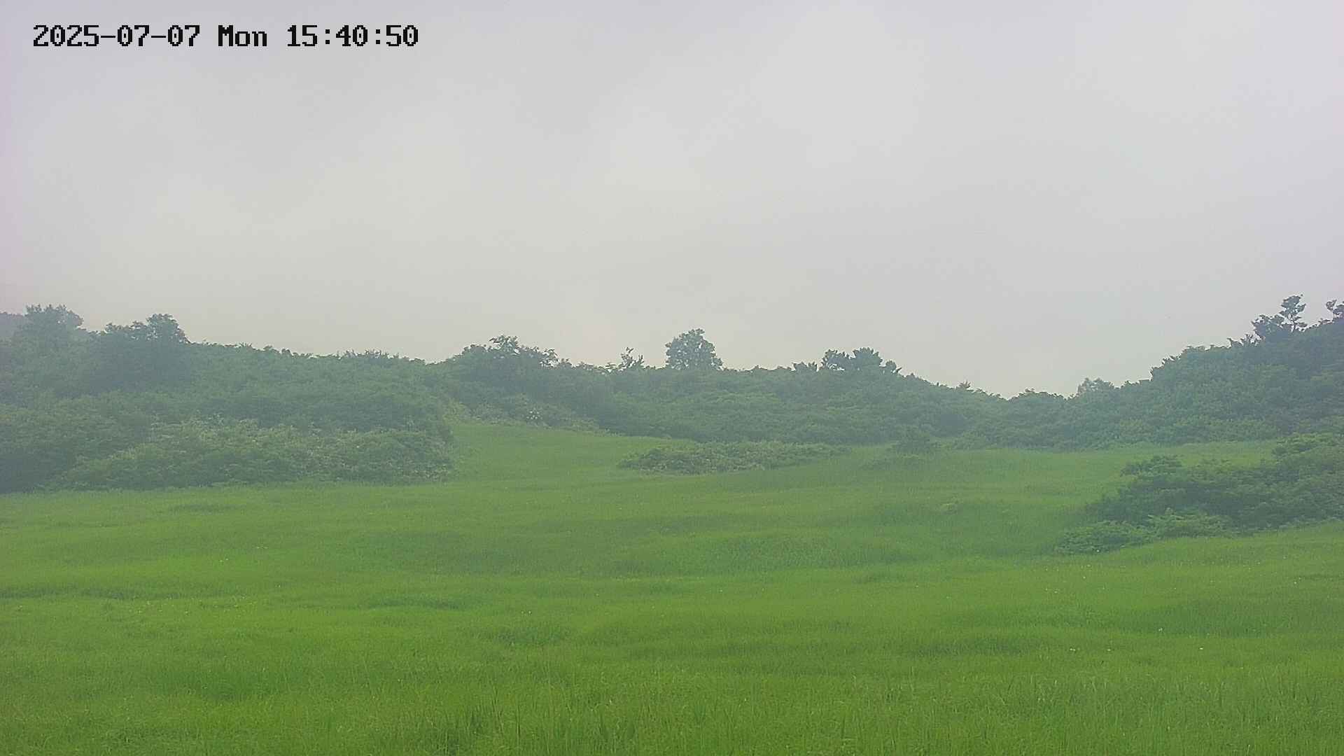 area3-20250707154051.jpg