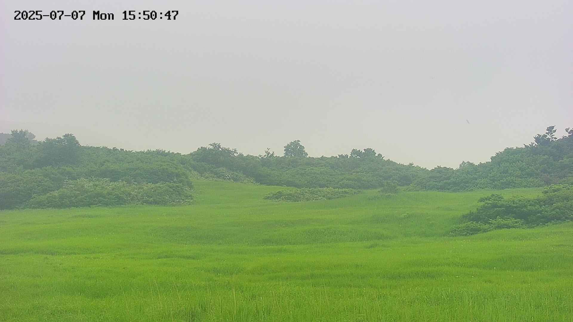 area3-20250707155049.jpg