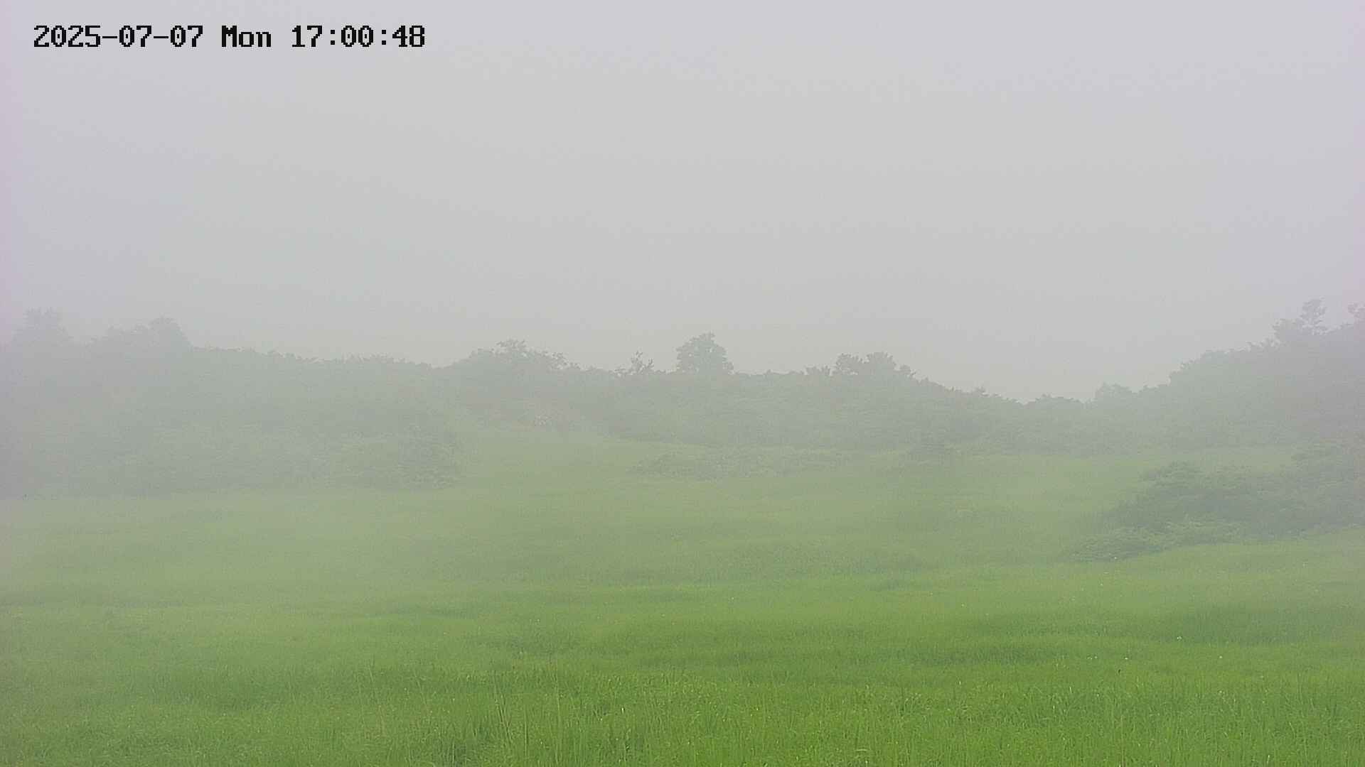 area3-20250707170050.jpg