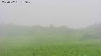 area3-20250707170050.jpg