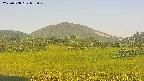area3-20250708052051.jpg