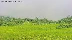 area3-20250708055051.jpg