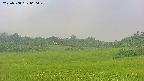 area3-20250708060049.jpg