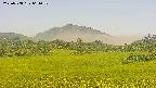 area3-20250708061052.jpg