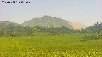 area3-20250708062050.jpg