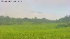 area3-20250708063052.jpg