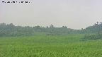 area3-20250708064049.jpg