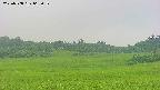 area3-20250708065054.jpg