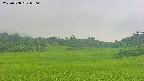 area3-20250708070058.jpg