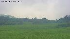 area3-20250708073054.jpg