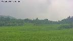 area3-20250708074057.jpg