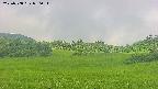 area3-20250708080057.jpg