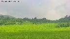 area3-20250708082056.jpg