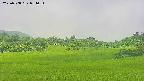area3-20250708091055.jpg