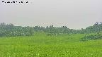 area3-20250708095054.jpg