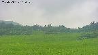 area3-20250708115051.jpg