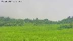 area3-20250708125050.jpg