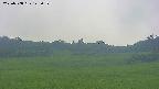area3-20250708143053.jpg