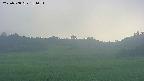 area3-20250708181053.jpg