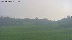 area3-20250708182054.jpg