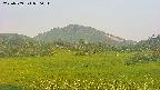 area3-20250709050057.jpg