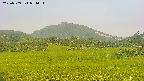 area3-20250709051058.jpg