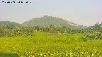 area3-20250709052053.jpg