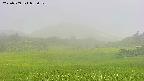 area3-20250709055052.jpg