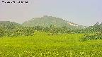 area3-20250709061059.jpg