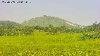 area3-20250709062051.jpg