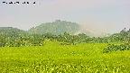 area3-20250709072056.jpg