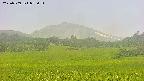 area3-20250709075054.jpg
