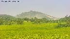 area3-20250709080058.jpg