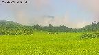 area3-20250709085104.jpg