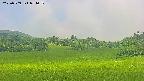 area3-20250709091051.jpg