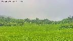 area3-20250709103107.jpg