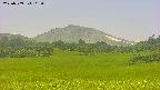 area3-20250709113057.jpg