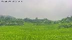 area3-20250709122055.jpg