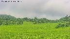 area3-20250711070055.jpg