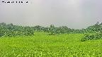 area3-20250711072058.jpg