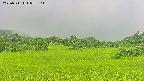 area3-20250711073107.jpg