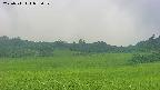area3-20250711075100.jpg